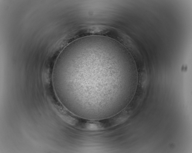 X0000111940510200907271416