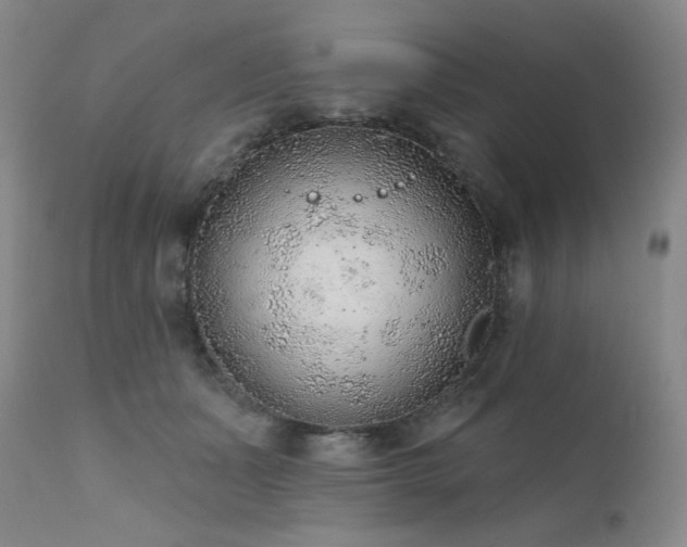 X0000111940511200907271416