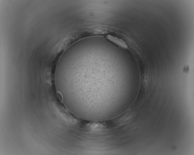 X0000111940512200907271416