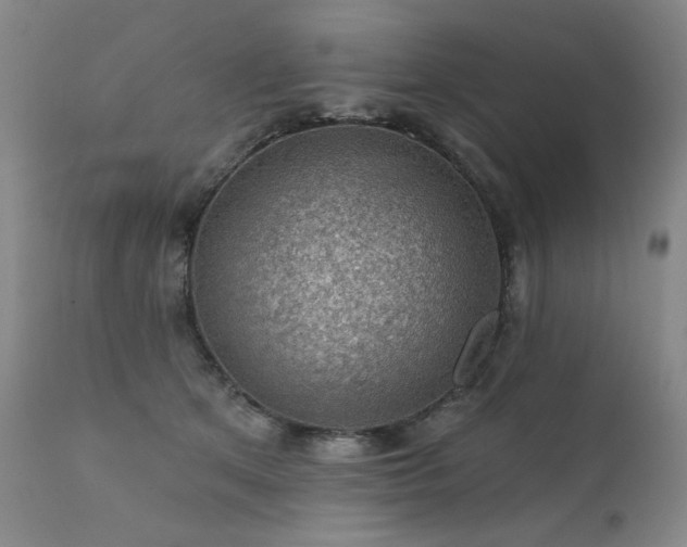 X0000111940513200907271416