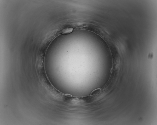 X0000111940515200907271416