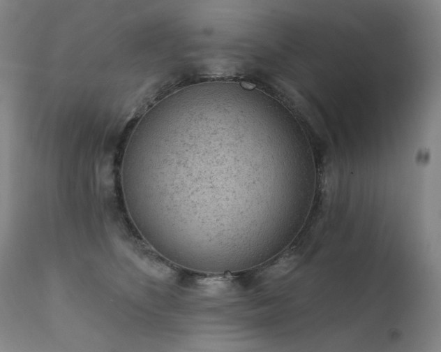 X0000111940516200907271416