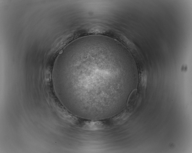 X0000111940517200907271416