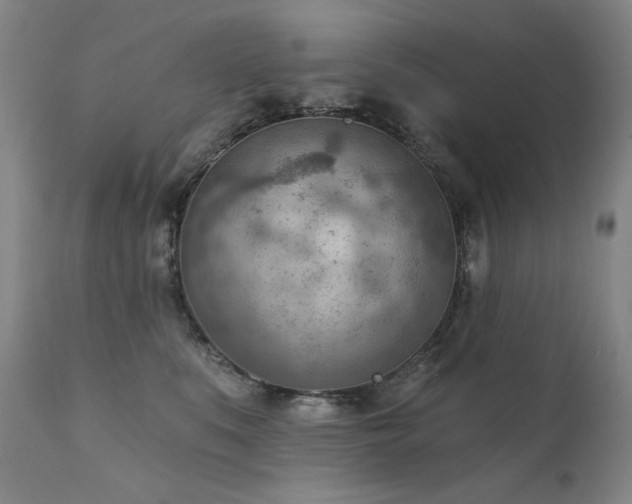 X0000111940519200907271416