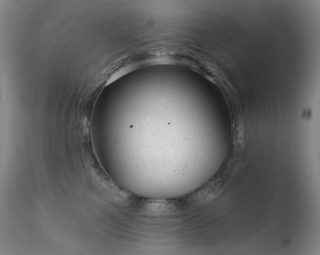 X0000111940521200907271416