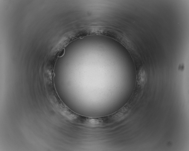 X0000111940522200907271416