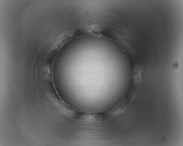 X0000111940523200907271416