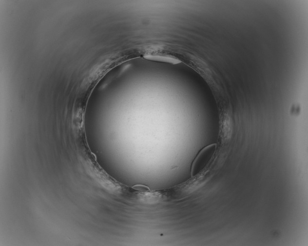 X0000111940525200907271416