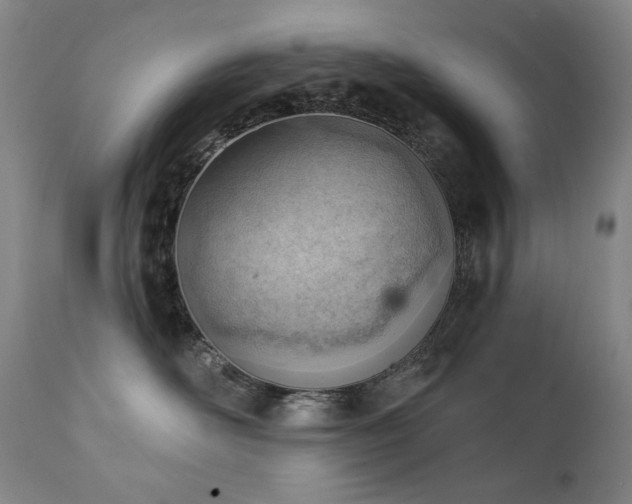 X0000111940526200907271416