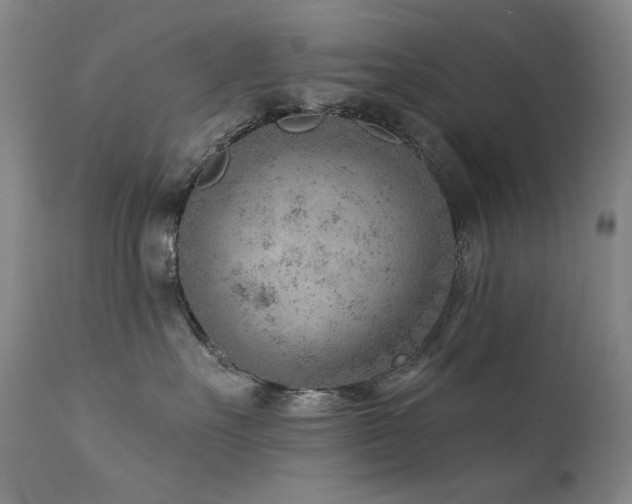 X0000111940527200907271416