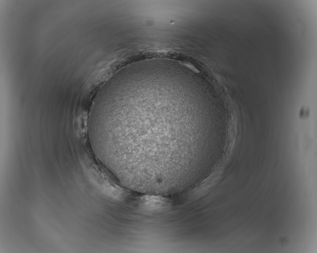 X0000111940528200907271416