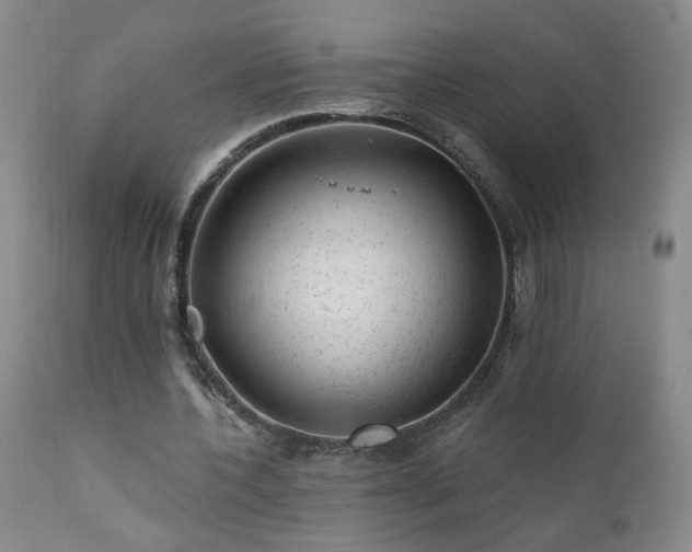 X0000111940532200907271415