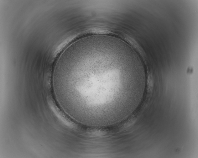 X0000111940533200907271415