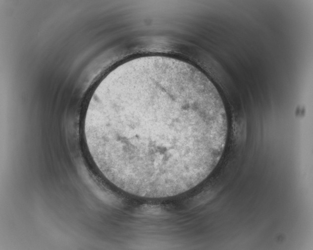 X0000111940534200907271415