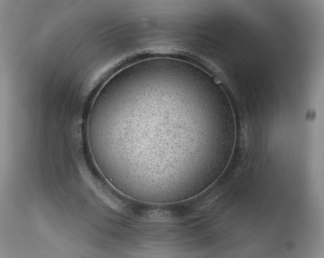 X0000111940535200907271415