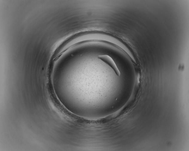 X0000111940536200907271415