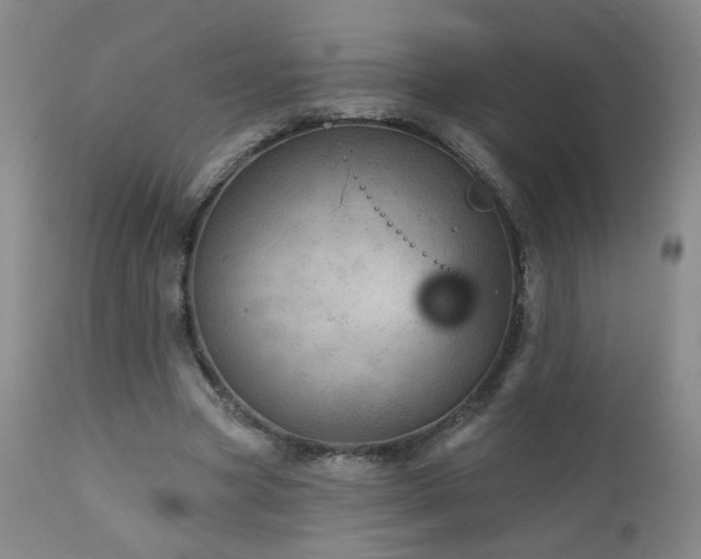 X0000111940537200907271415