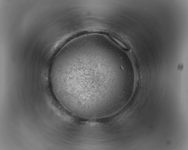 X0000111940539200907271415