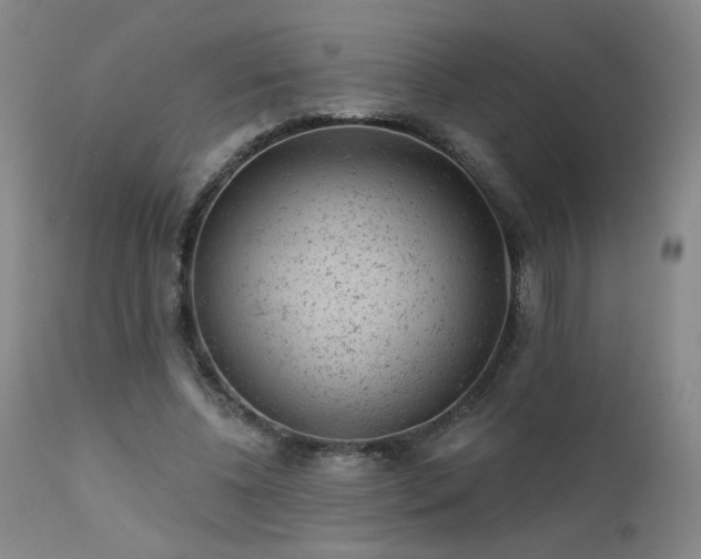 X0000111940540200907271415