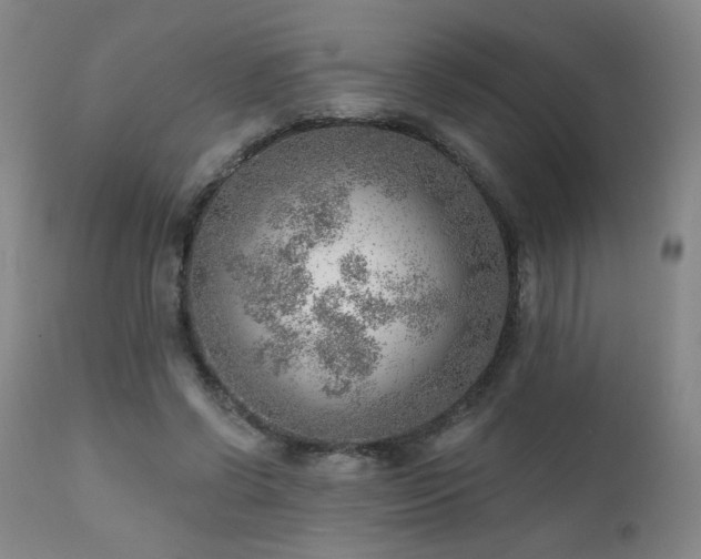 X0000111940542200907271415