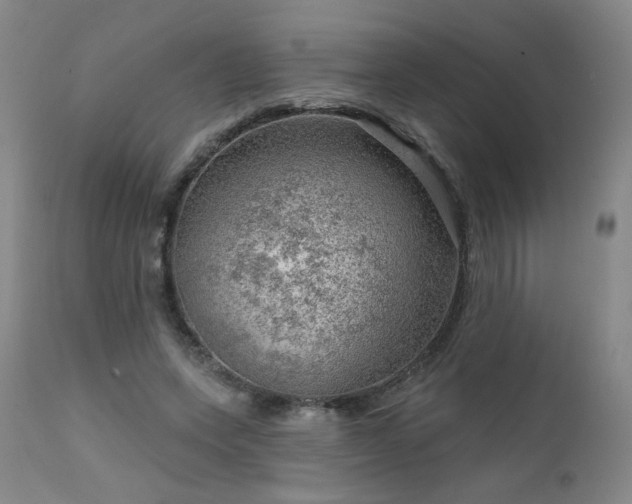 X0000111940543200907271415