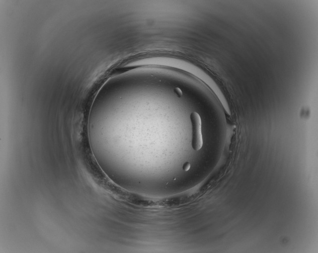 X0000111940544200907271415