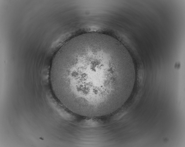 X0000111940545200907271415