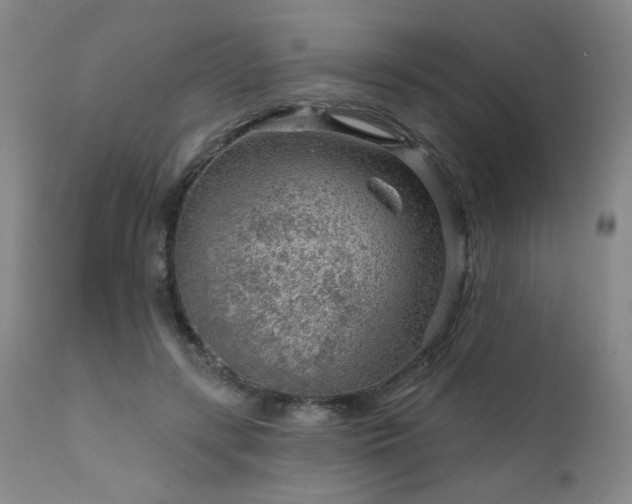 X0000111940547200907271415