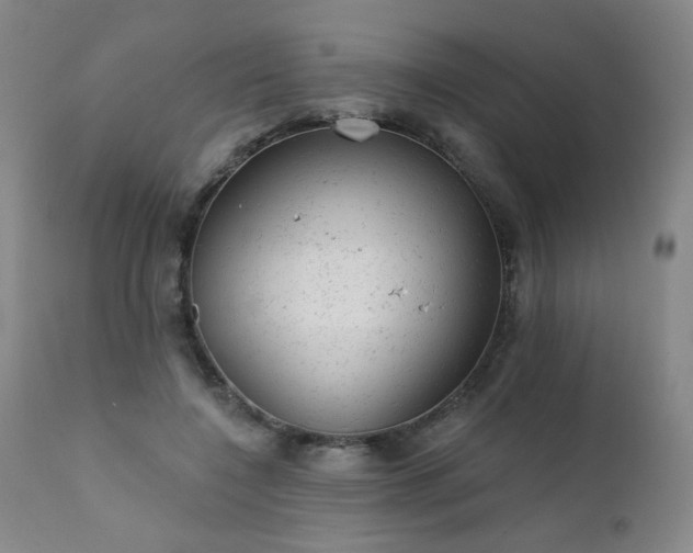 X0000111940548200907271415