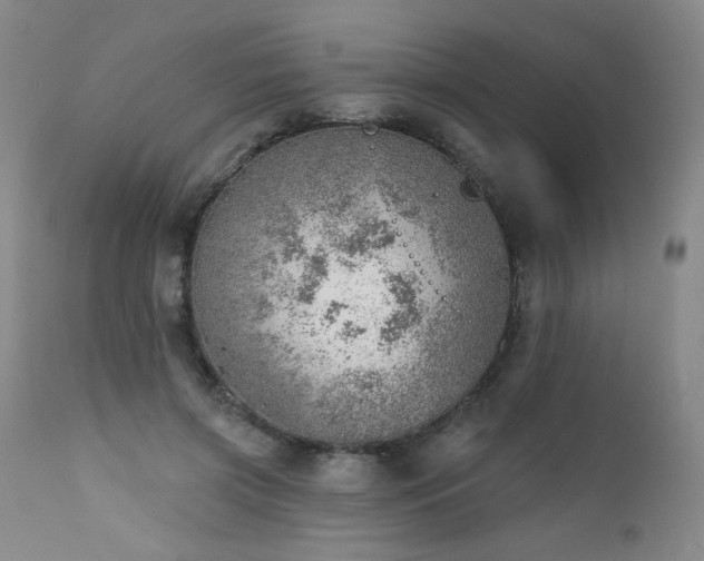 X0000111940549200907271415