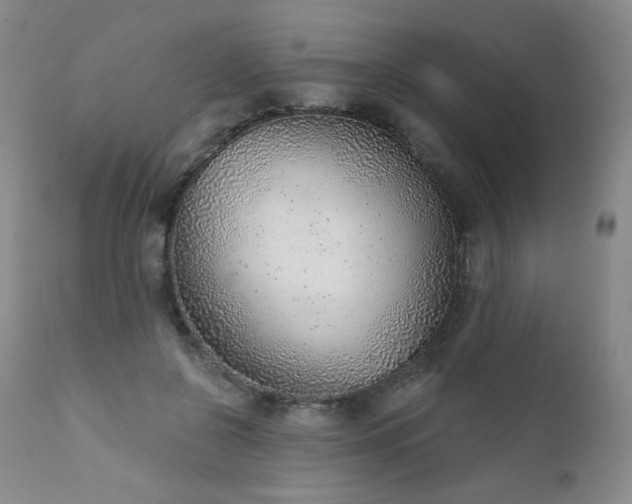 X0000111940550200907271415