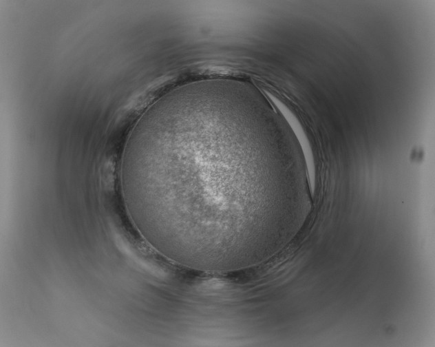 X0000111940551200907271415