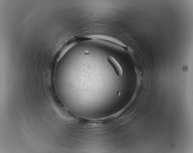 X0000111940552200907271415