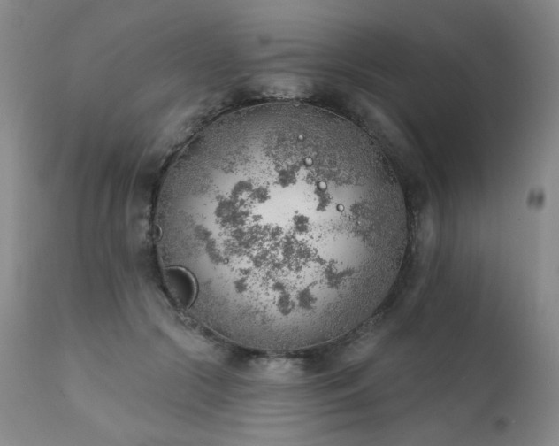 X0000111940553200907271415