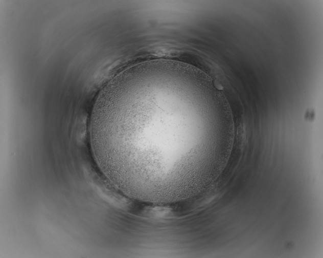 X0000111940554200907271415