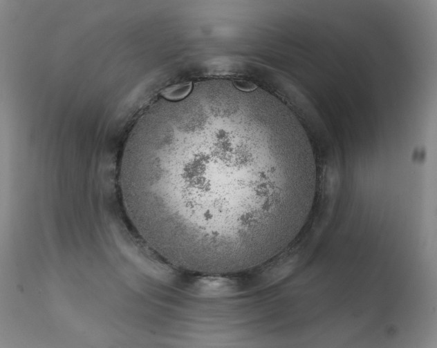 X0000111940557200907271415