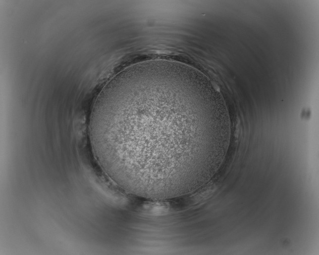 X0000111940559200907271415