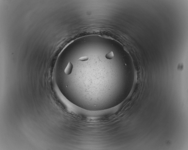 X0000111940560200907271415