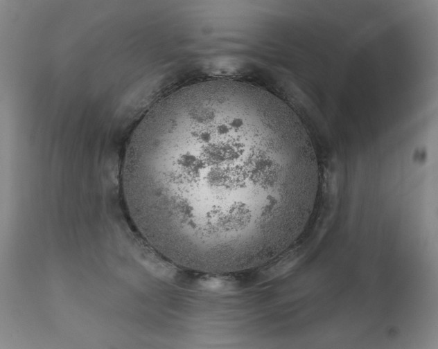 X0000111940561200907271415