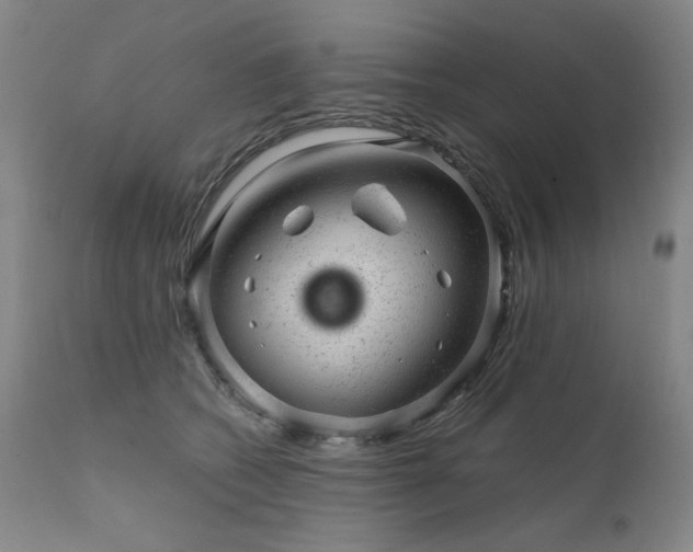 X0000111940562200907271415