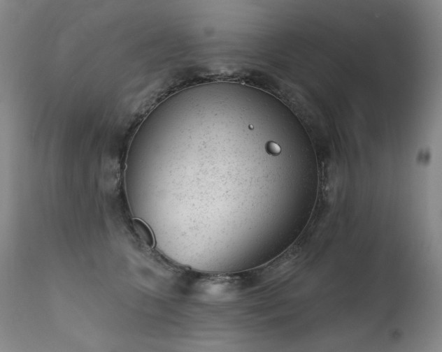 X0000111940563200907271415