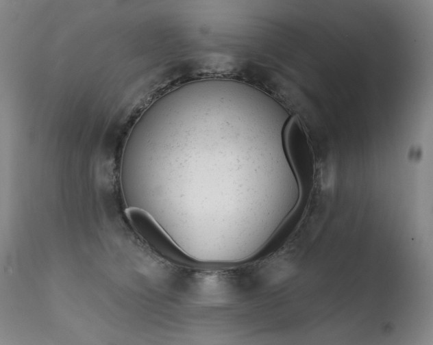 X0000111940564200907271415