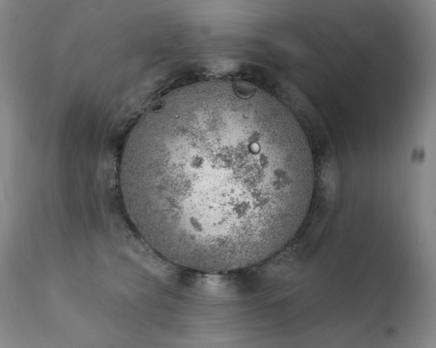 X0000111940565200907271415