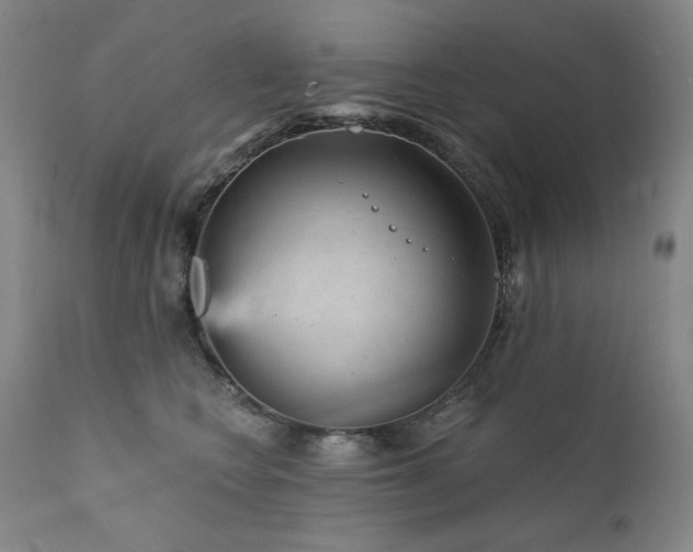 X0000111940566200907271416