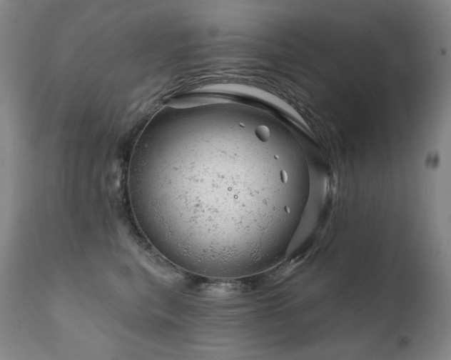 X0000111940567200907271416