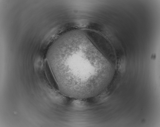 X0000111940568200907271416