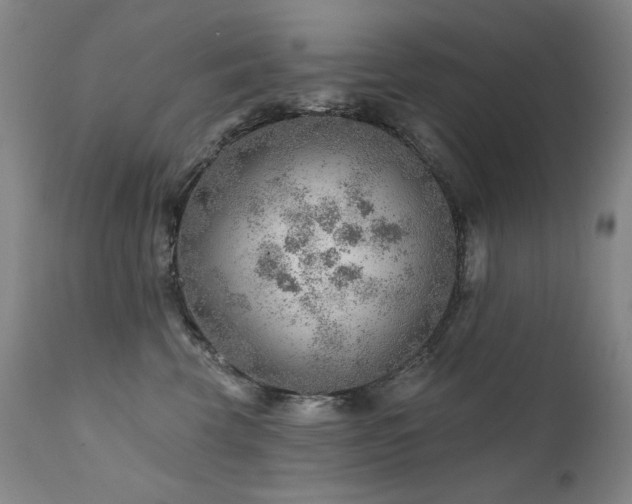 X0000111940569200907271416