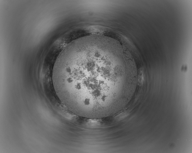 X0000111940573200907271416