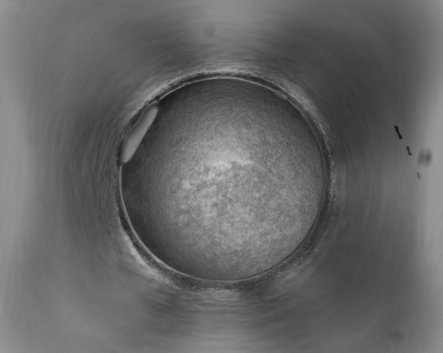 X0000111940577200907271415