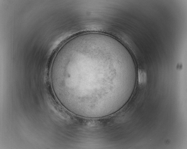 X0000111940579200907271415